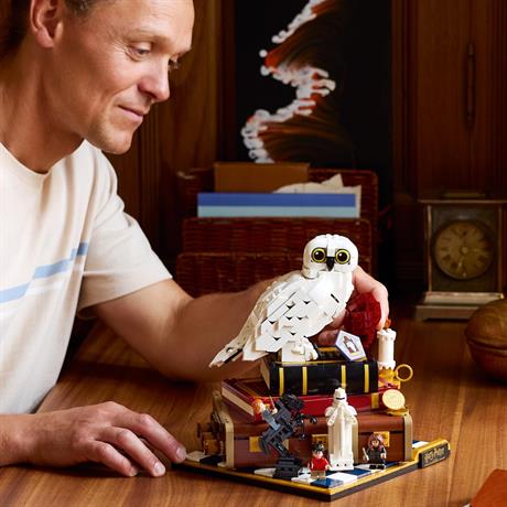 Конструктор LEGO Harry Potter TM Філософський камінь. Колекційний набір 1571 Деталь (76466) - фото 4